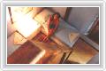 ���� 5 ����� Bequeve Inn